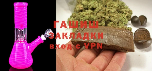 гидра Богородицк