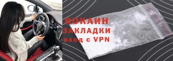 гидра Богородицк