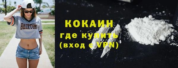гидра Богородицк