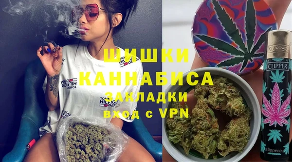 гидра Богородицк