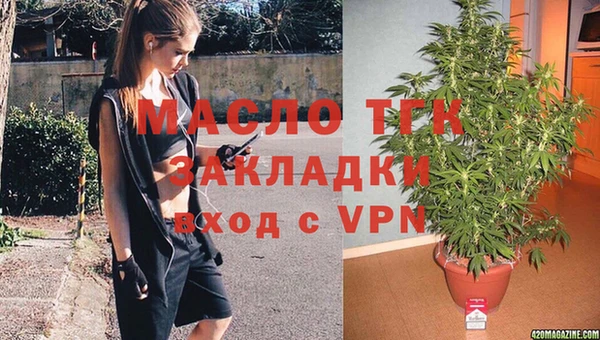 гидра Богородицк