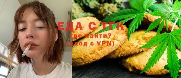 гидра Богородицк