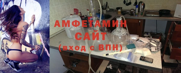гидра Богородицк