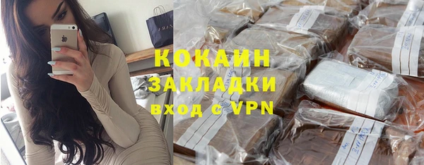 гидра Богородицк