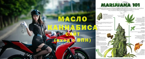 гидра Богородицк