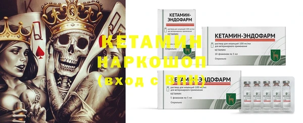 гидра Богородицк