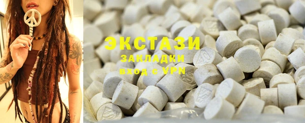 гидра Богородицк