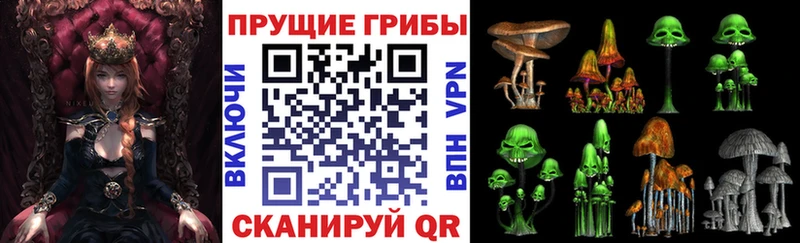 что такое наркотик  Котельники  Псилоцибиновые грибы Cubensis 
